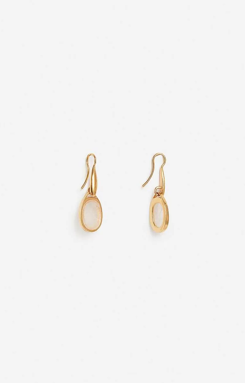 Vanessa Bruno Earrings